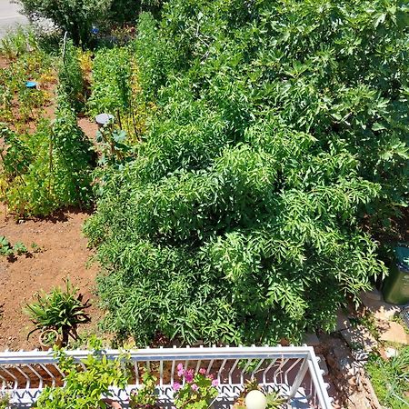 Apartmani Toni Vodice Ngoại thất bức ảnh