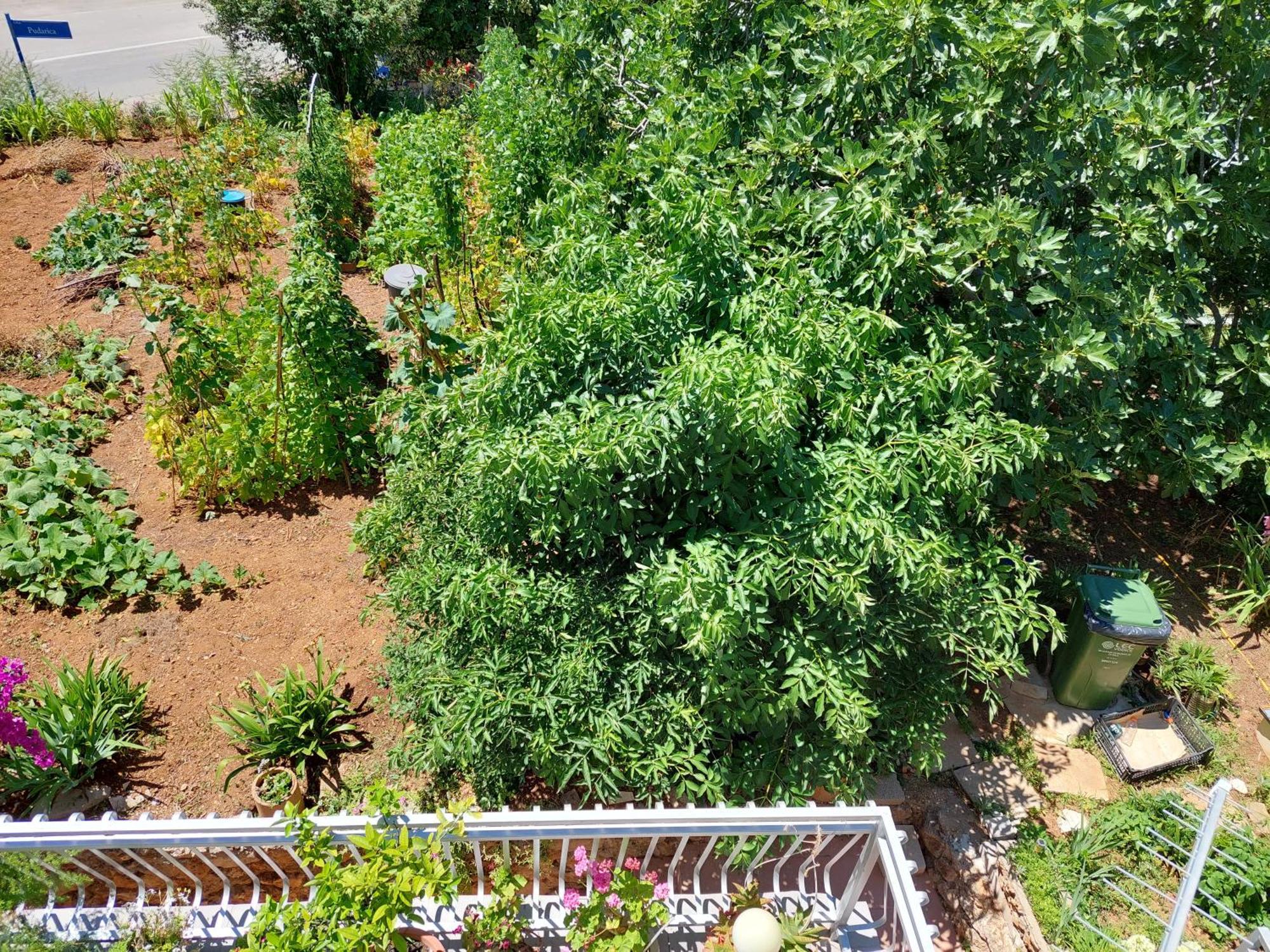 Apartmani Toni Vodice Ngoại thất bức ảnh